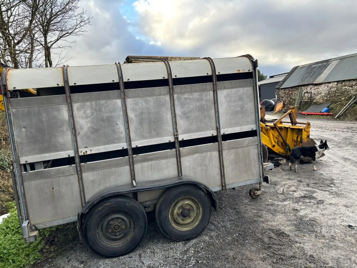 10X6 Ivor Williams - Прицеп для перевозки животных: фото 4 10X6 Ivor Williams - Прицеп для перевозки животных: фото 4