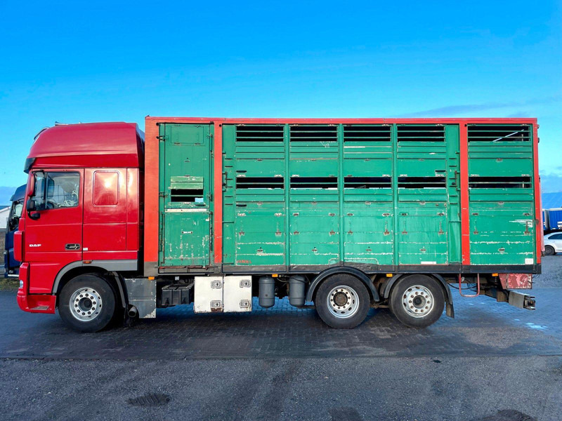 DAF XF 105.460 2-Stock Finkl Viehaufbau / Lenkachs - Грузовик для перевозки животных: фото 5 DAF XF 105.460 2-Stock Finkl Viehaufbau / Lenkachs - Грузовик для перевозки животных: фото 5