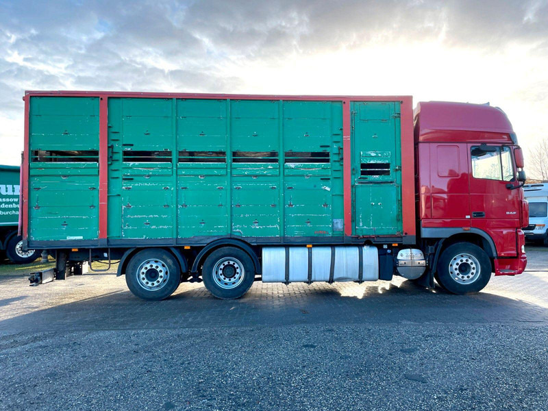 DAF XF 105.460 2-Stock Finkl Viehaufbau / Lenkachs - Грузовик для перевозки животных: фото 4 DAF XF 105.460 2-Stock Finkl Viehaufbau / Lenkachs - Грузовик для перевозки животных: фото 4