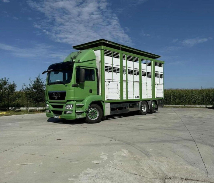 MAN TGS 26.440 Livestock Transporter - Three Deck - Грузовик для перевозки животных: фото 2 MAN TGS 26.440 Livestock Transporter - Three Deck - Грузовик для перевозки животных: фото 2