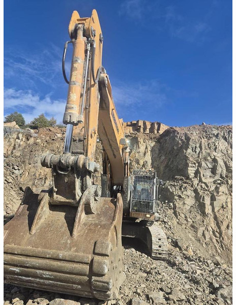 Гусеничный экскаватор Liebherr R964 HDSL: фото 6