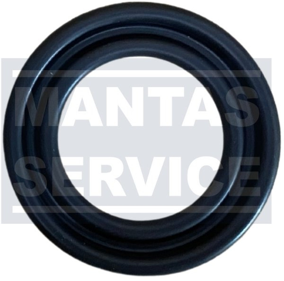 VOLVO SEALING RING 20551483 - Прокладка двигателя для Грузовиков: фото 1 VOLVO SEALING RING 20551483 - Прокладка двигателя для Грузовиков: фото 1