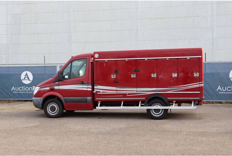 Mercedes-Benz 313CDI - Фургон с закрытым кузовом: фото 3 Mercedes-Benz 313CDI - Фургон с закрытым кузовом: фото 3