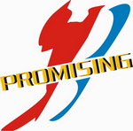 QINGDAO PROMISING INTERNATIONAL CO., LTD. на Truck1